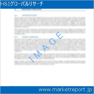 市場と産業調査レポートのイメージ